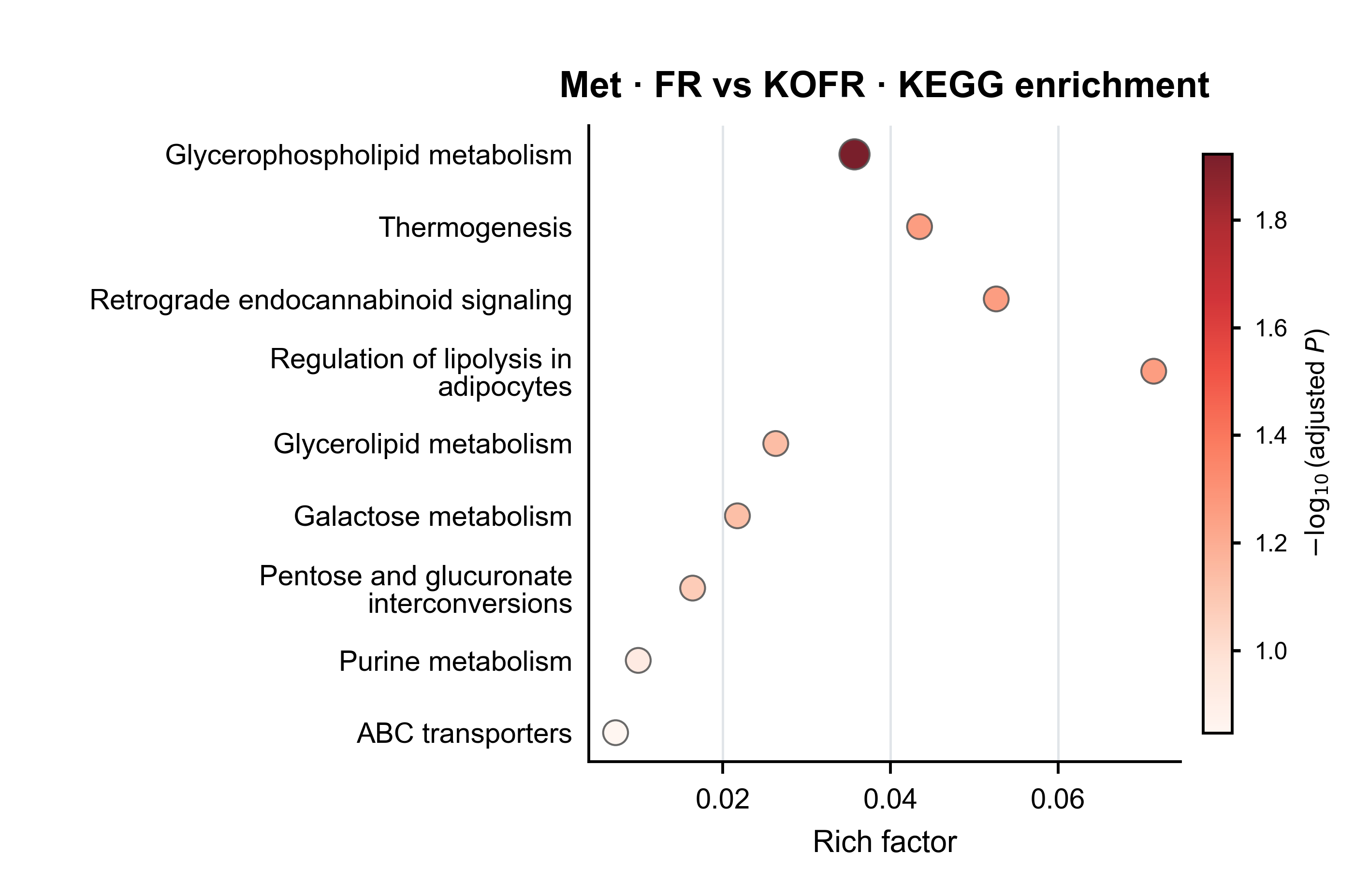 KEGG enrichment